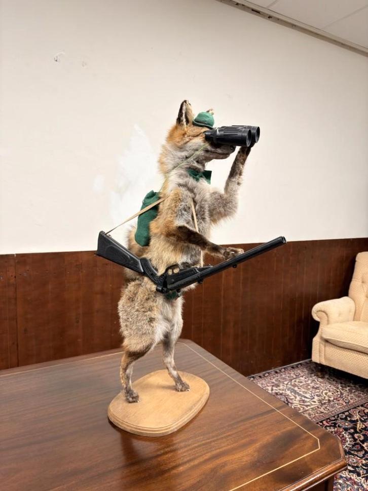 Taxidermie Opgezette Vos als Jager, Antiek en Kunst, Antiek | Kantoor en Zakelijk, Ophalen of Verzenden