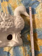 Zwanenbloempot in perfecte staat af halen in poelkapelle, Ophalen, Zo goed als nieuw, Dier