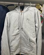 Burberry vest, Vêtements | Hommes, Pulls & Vestes, Gris, Enlèvement, Burberry, Taille 52/54 (L)