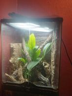 Exoterra 30* 30*45, Enlèvement ou Envoi