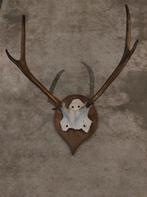 Gewei, Enlèvement ou Envoi, Comme neuf