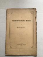 Le pterodactylus kochi du musee teyler, Antiek en Kunst, Antiek | Boeken en Manuscripten, Ophalen of Verzenden