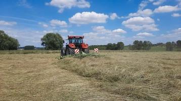 Gras op stam gezocht / weides om te hooien