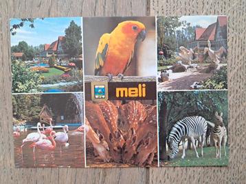 Pk, ancien parc d'attractions Meli, Enlèvement ou Envoi