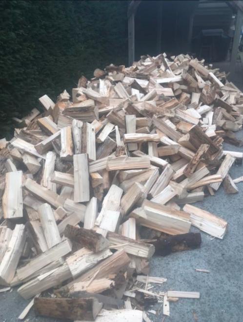 500€ voor 5 m3 droog hout, Tuin en Terras, Brandhout, Stammen, Ophalen of Verzenden