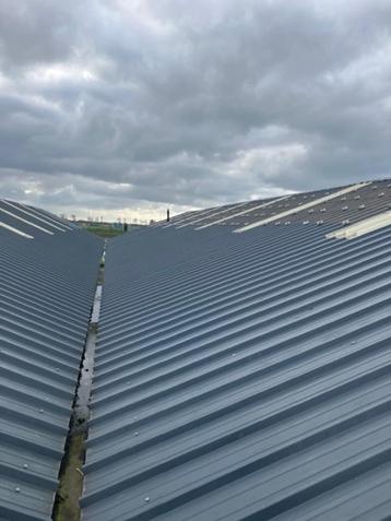 Dakpanelen/sandwichpanelen met 6 cm isolatie in TOPstaat!!! beschikbaar voor biedingen