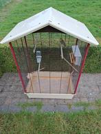 Grasparkietjes met kooi, Dieren en Toebehoren, Parkiet