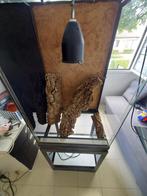 Terrarium met toebehoren, Dieren en Toebehoren, Ophalen