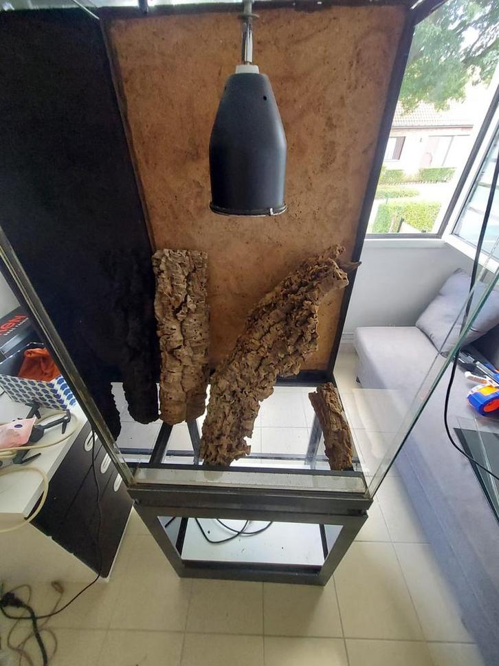 Terrarium met toebehoren, Dieren en Toebehoren, Reptielen en Amfibieën | Toebehoren, Ophalen