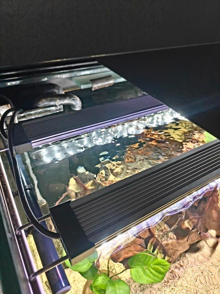 Éclairage eheim LEDs control + 150 cm complet, Dieren en Toebehoren, Vissen | Aquaria en Toebehoren, Zo goed als nieuw, Ophalen