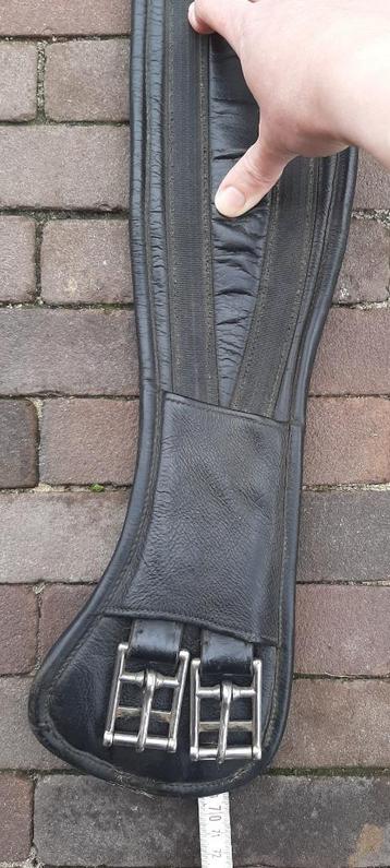 Dressuursingel 70cm beschikbaar voor biedingen