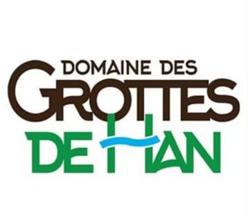 4 Pass  pour Le domaine des Grottes de Hans - 80 EUR