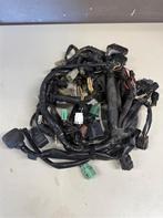 Suzuki VL800 C800 Kabelboom compleet 2005 - 2011, Motos, Accessoires | Autre, Enlèvement ou Envoi, Comme neuf