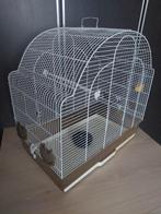 Grand cage pour oiseaux, Animaux & Accessoires, Enlèvement