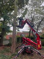 Opruimen omgewaaide bomen, Enlèvement