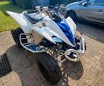 Yamaha raptor 350 limiet edition, Motoren