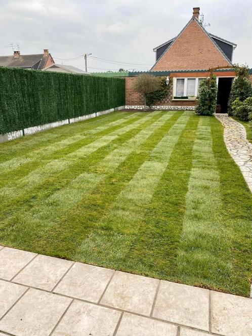 Gazon en rouleaux, Tuin en Terras, Gras en Kunstgras, Zo goed als nieuw, Ophalen of Verzenden