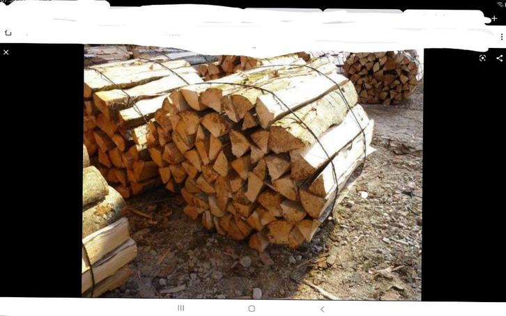 Bois de chauffage, Jardin & Terrasse, Bois de chauffage, Bûches, Frêne, 6 m³ ou plus, Enlèvement ou Envoi