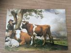 Postkaart Paulus Potter - de jonge stier, Ophalen of Verzenden