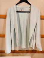 Blazer, Ophalen, Zo goed als nieuw, Maat 46/48 (XL) of groter, Blauw