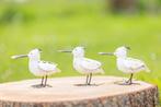 Beaux oiseaux, Enlèvement ou Envoi