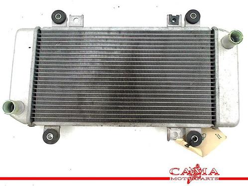 RADIATEUR Kawasaki ZX 250 R (Ninja ZX250R) (220003741), Motoren, Onderdelen | Kawasaki, Gebruikt