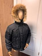 Veste d'hiver Hugo Boss pour homme L, Enlèvement, Comme neuf, Taille 48/50 (M)