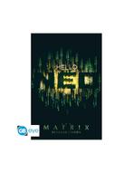 The Matrix - Poster Maxi (91.5x61cm) - Hello Neo, Nieuw, Film en Tv, Vierkant, Verzenden