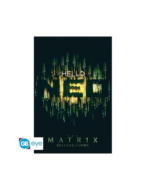 The Matrix - Poster Maxi (91.5x61cm) - Hello Neo, Verzamelen, Posters, Nieuw, Film en Tv, Deurposter of groter, Vierkant, Verzenden