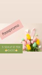 Paaspromo €600/week 2 tot 6 personen, Vakantie, Appartement