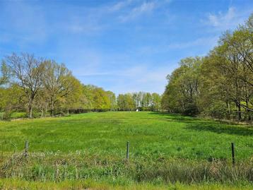 Grond te koop in Zonhoven