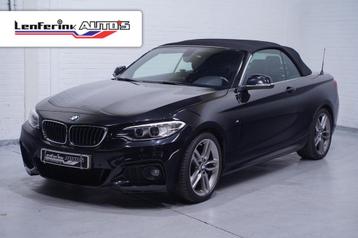 BMW 218 2-serie Cabrio 218d High Executive Leder Navi Camera beschikbaar voor biedingen