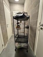 Calopsitte vollière/perroquet, Enlèvement, Comme neuf