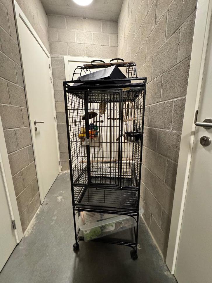 Vollière valkparkiet/papegaai 153x50x50, Dieren en Toebehoren, Overige Dieren-accessoires, Zo goed als nieuw, Ophalen