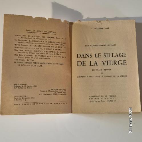 In het kielzog van de maagd, de grote terugkeer van Devineau, Boeken, Reisverhalen, Zo goed als nieuw, Europa, Verzenden