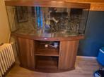 Juwel Rio Vision 450, Dieren en Toebehoren, Vissen | Aquaria en Toebehoren, Ophalen, Gebruikt, Leeg aquarium