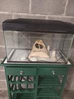 Aquariums, Enlèvement ou Envoi, Utilisé