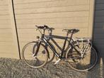 Herenfiets, Fietsen en Brommers, Fietsen | Heren | Herenfietsen, Ophalen, Gebruikt, Batavus