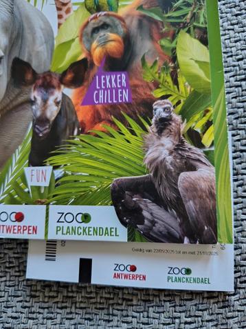 ️ *Tickets Gratis inkom ZOO Antwerpen of ZOO Planckendael  beschikbaar voor biedingen