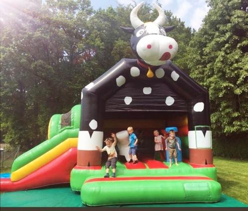 Feest, bbq, opendeurdagen,....., Kinderen en Baby's, Speelgoed | Buiten | Springkussens, Zo goed als nieuw, Ophalen