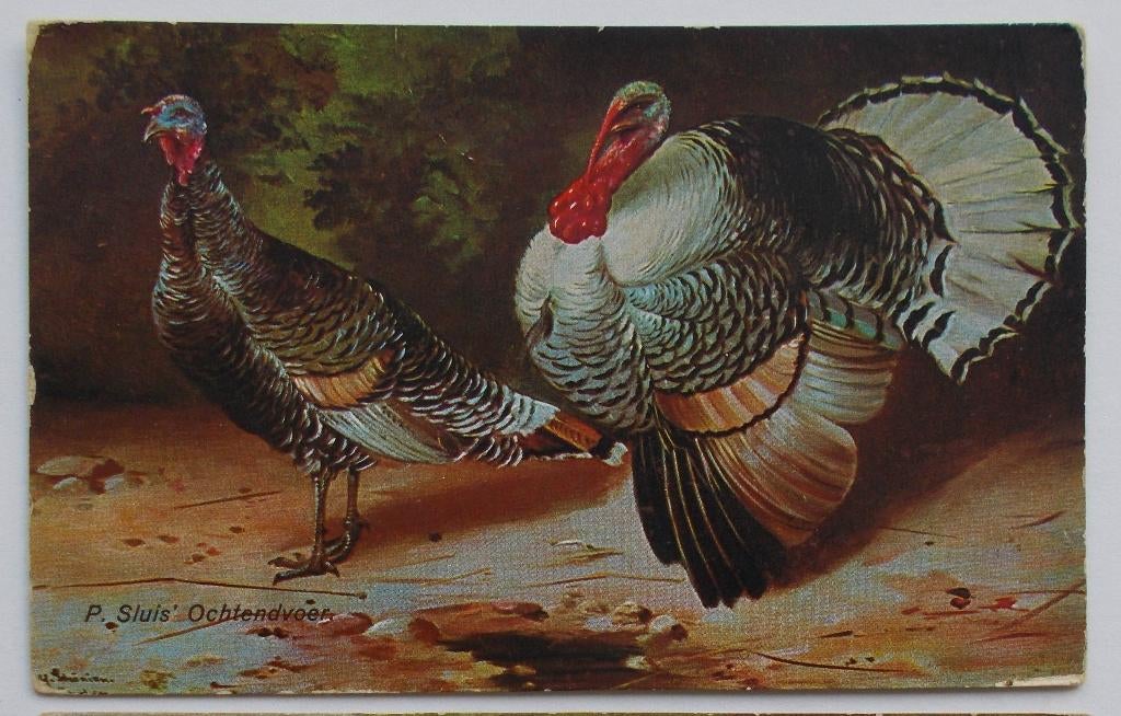 Oude postkaart kalkoenen - Gustav Mesmer, Verzenden, 1920 tot 1940, Ongelopen, Overige thema's