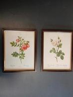 2 kaders bruin met prent van rozen, Enlèvement ou Envoi