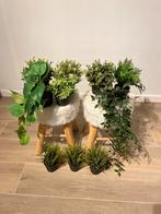 Valse plantjes, Huis en Inrichting, Ophalen, Gebruikt