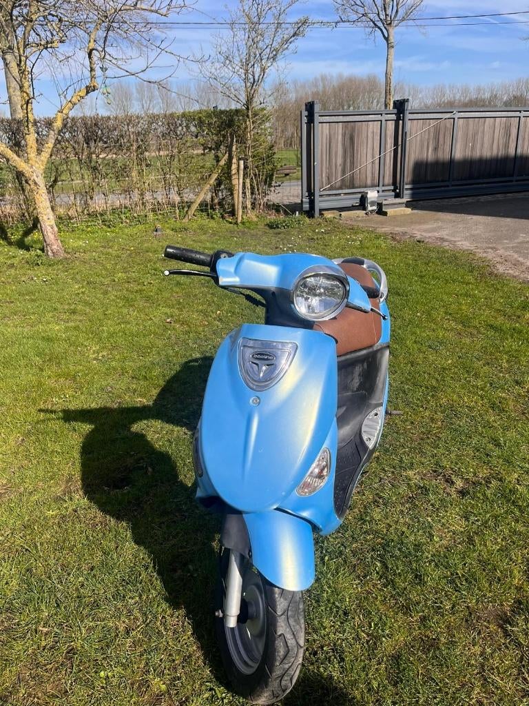 papilone beeline, Fietsen en Brommers, Brommers | Overige merken, Ophalen, Gebruikt, Beeline, Klasse A (25 km/u)