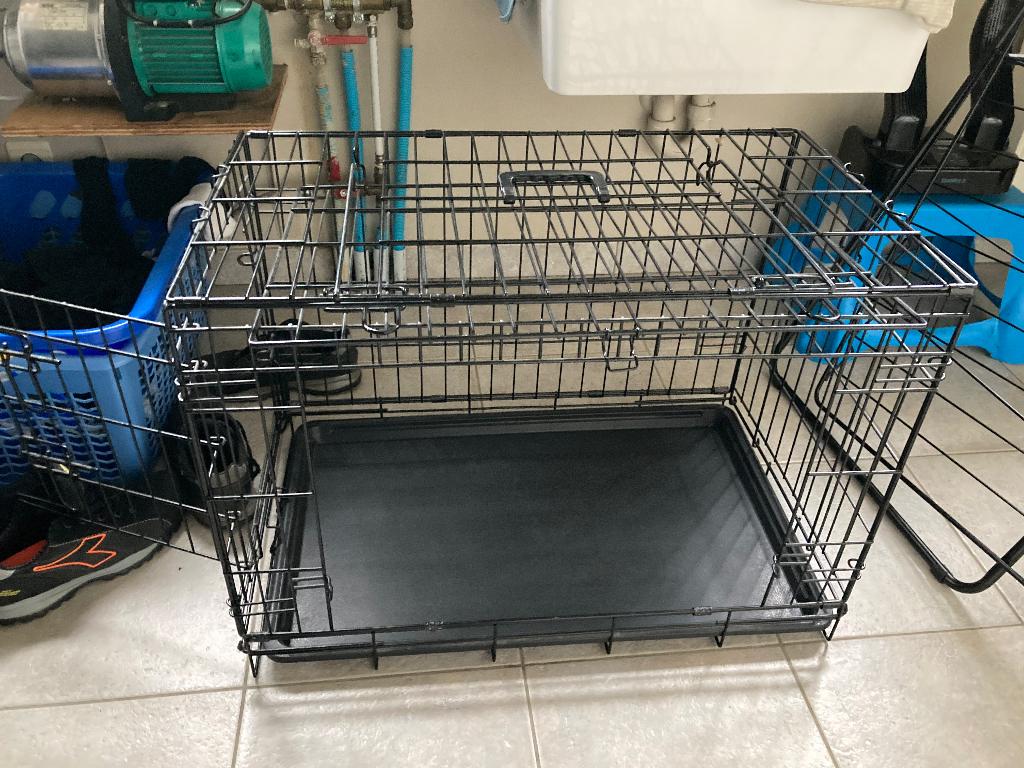 Chiens, Enlèvement, Utilisé