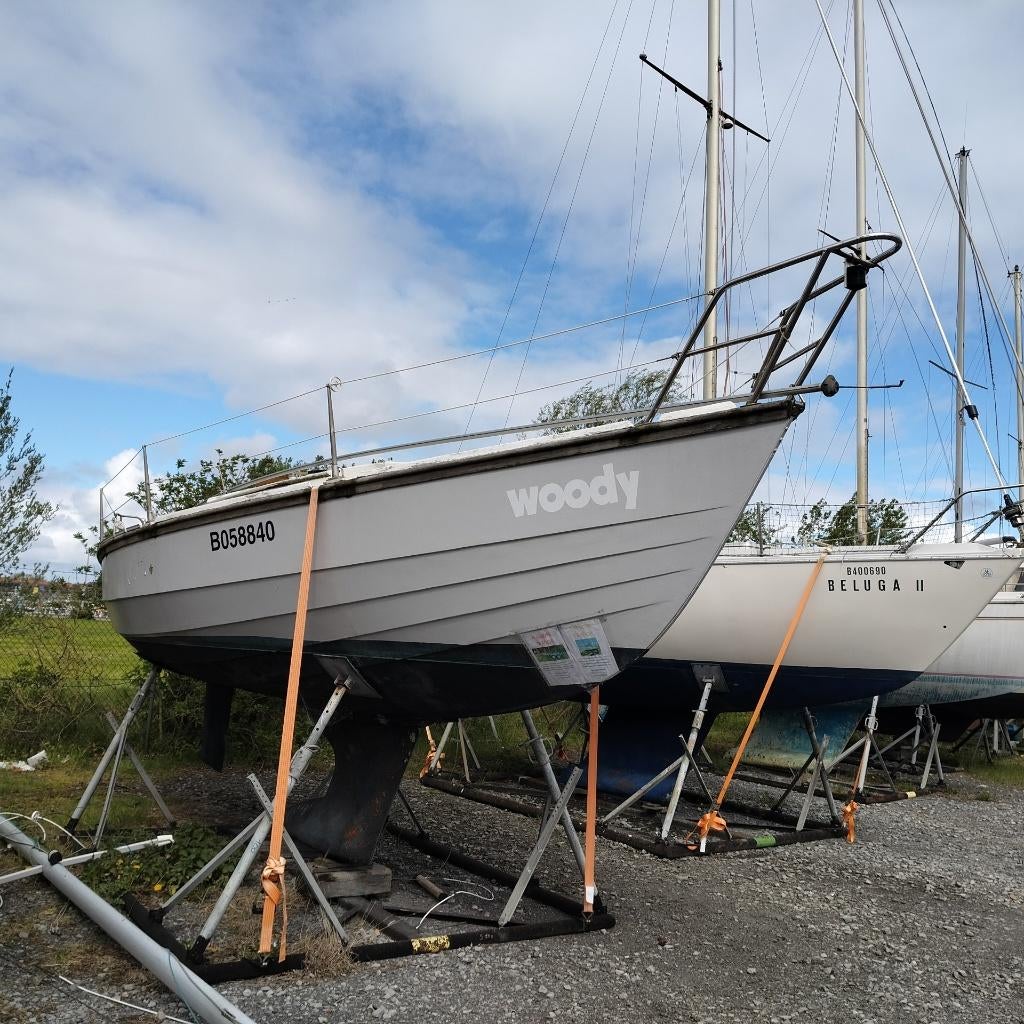 voilier, Watersport en Boten, Kajuitzeilboten en Zeiljachten, Gebruikt, Hout, 6 tot 9 meter, Ophalen