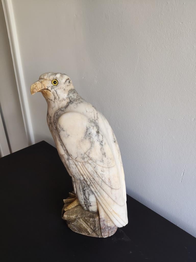 Marmeren adelaar, Ophalen