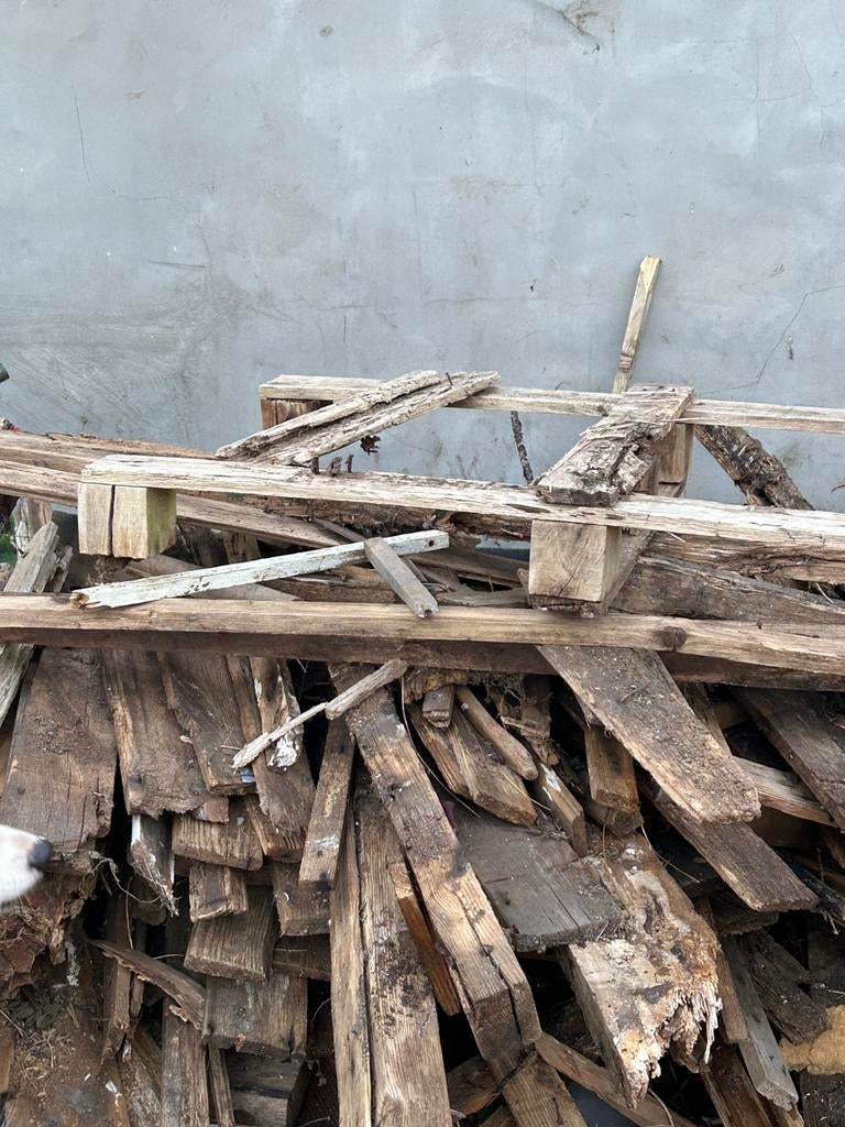 Bois de chauffage à donner, Jardin & Terrasse, Enlèvement, Autres essences de bois