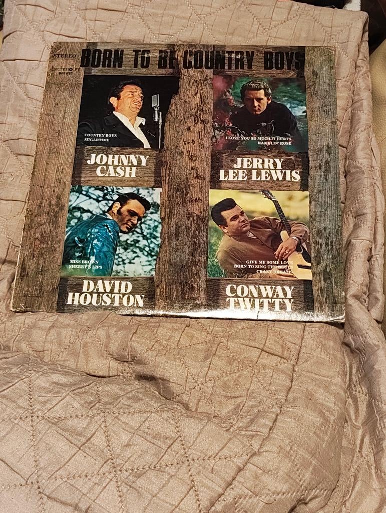 Lp Born To Be Country Boys, CD & DVD, Vinyles | Country & Western, Envoi, Utilisé, Autres formats