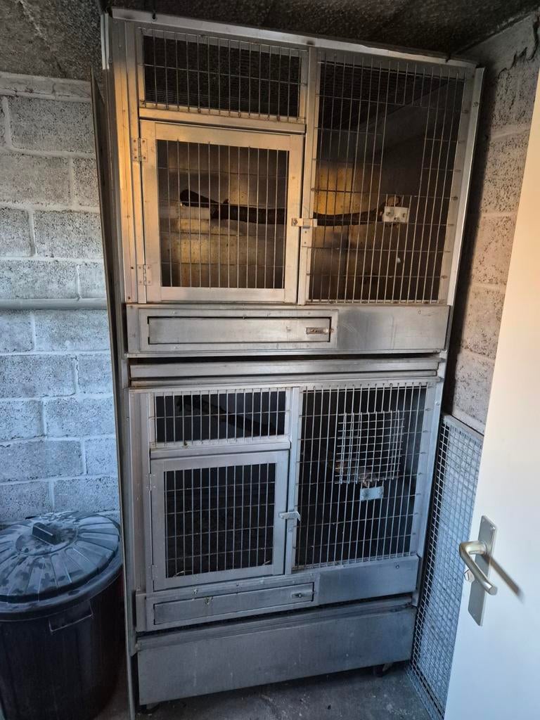 Prachtige grote kweekkooi 2 vakken, Animaux & Accessoires, Oiseaux | Cages & Volières, Enlèvement